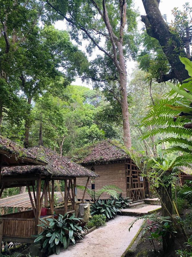 Tempat Tidur & Sarapan Laksana Rasa